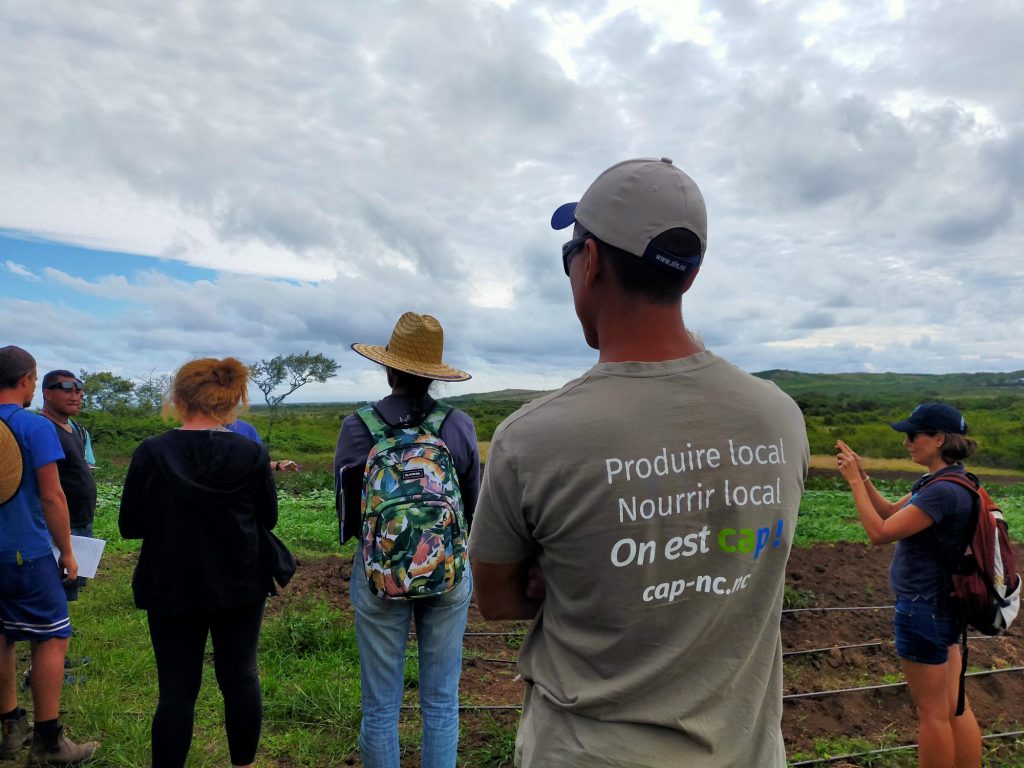 Délégation PROTEGE Sur Le Territoire – Webapp CANC